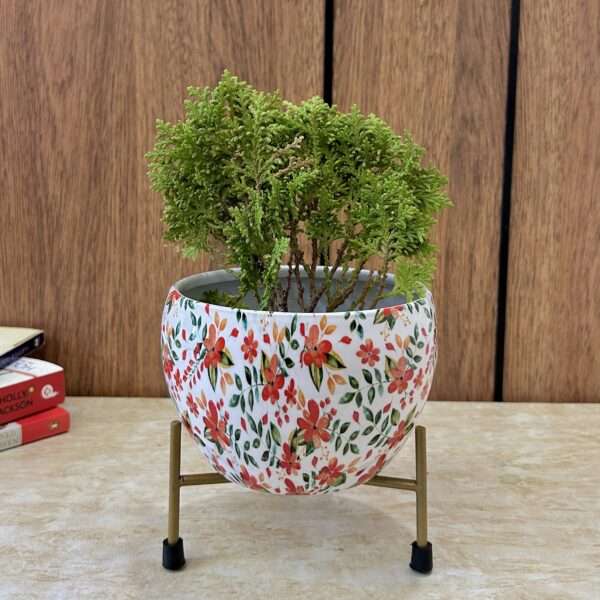 Floral Pink Indoor table Planter