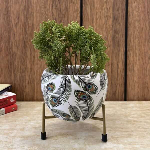 Peacock Print Indoor Metal Table Planter